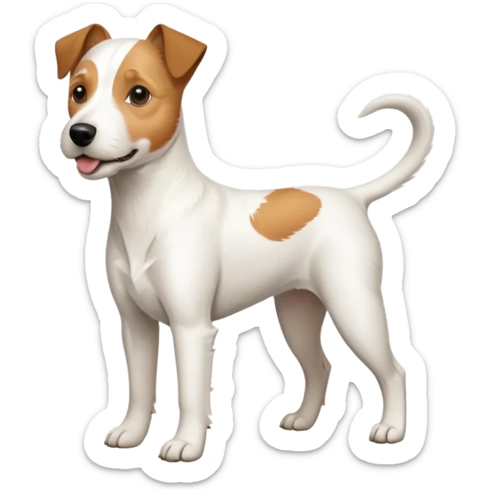 a full body white parson russell looking dog the size of a kelpie with light brown ears and a light brown patch on one eye and a large snout sticker
