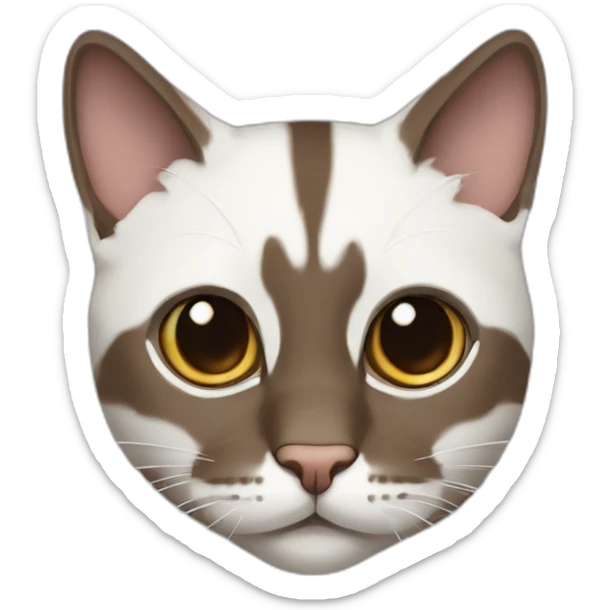 european cat with dark pinstripe tabby color and dark brown wool with white breasts and brown nose sticker