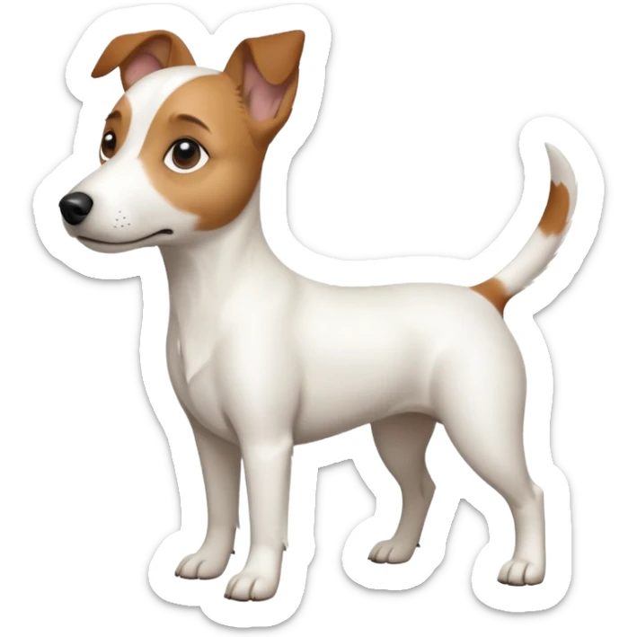 a full body white jack russel looking dog the size of a kelpie with light brown ears and a light brown patch on one eye, flopped down ears and a large snout sticker