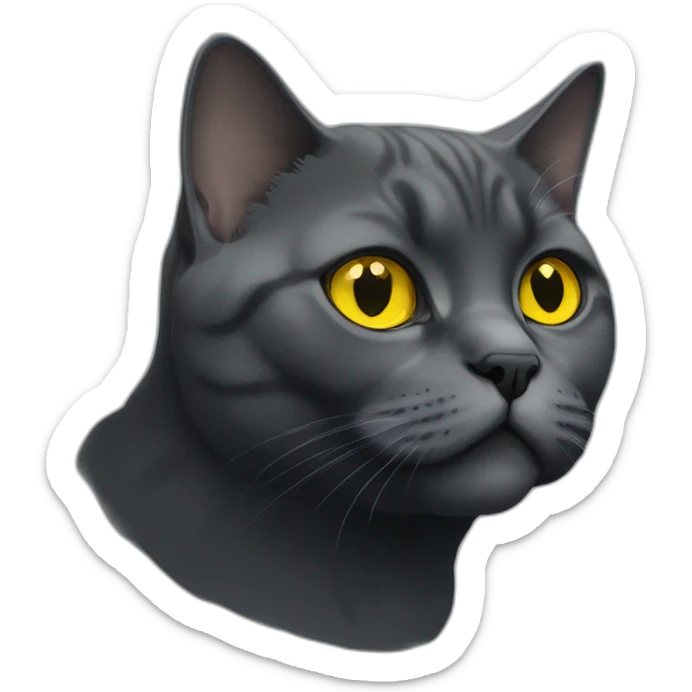 british shorthair cat in the Color black smoke with yellow eyes sticker