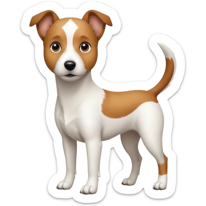 a full body white jack russel looking dog the size of a kelpie with light brown ears and a light brown patch on one eye and a large snout sticker
