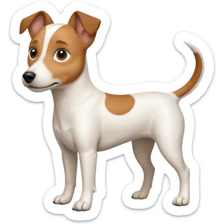 a full body white jack russel looking dog the size of a kelpie with light brown ears and a light brown patch on one eye and a large snout sticker