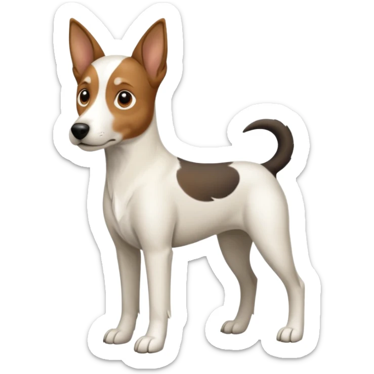 a full body large white floppy eared parson russell looking dog the size of a kelpie with light brown ears and a light brown patch on one eye and a large snout sticker