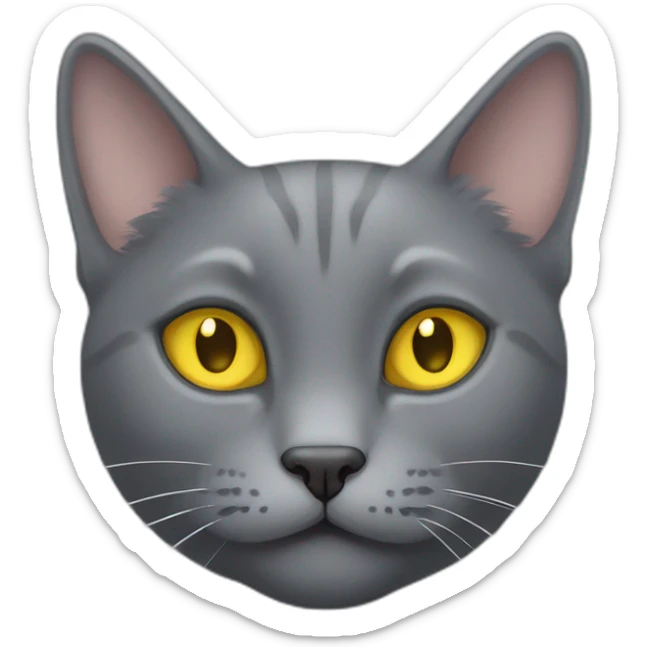 korat grey cat head little fluffy and cute smile with yellow eyes and black public sticker