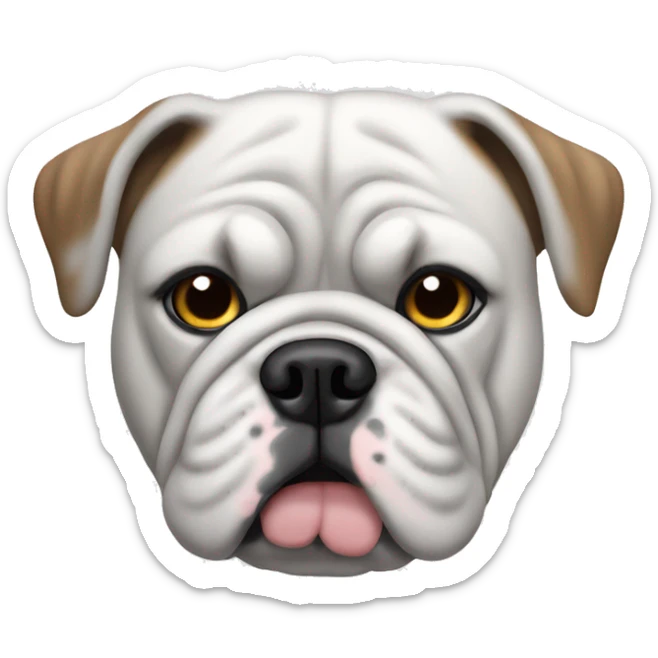An English bulldog with a gray coat, gray patch over one eye, rest of his face white coat sticker