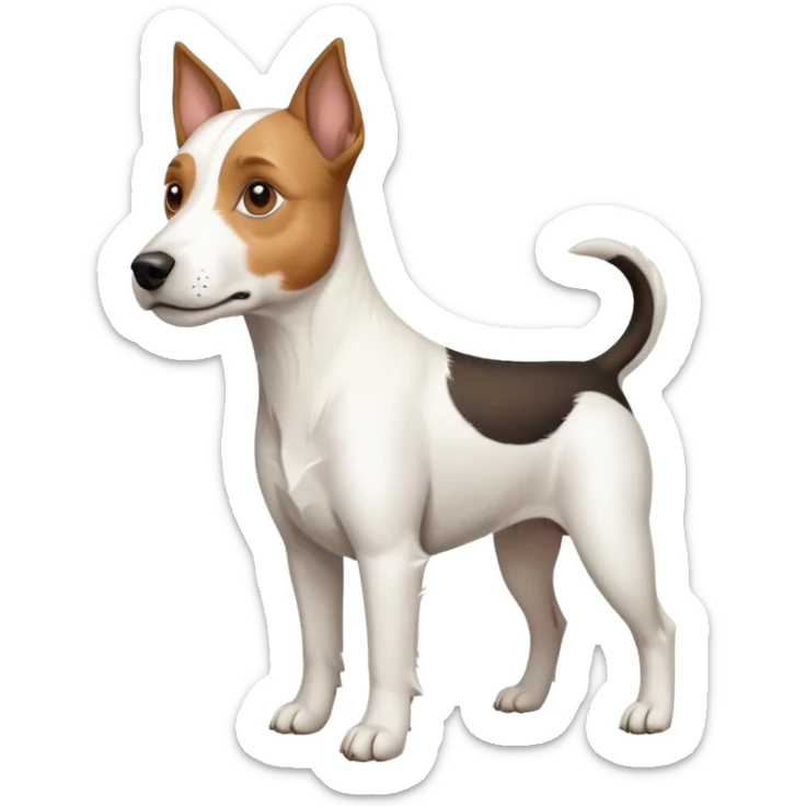 a full body large white parson russell terrier looking dog the size of a kelpie with light brown big ears and a light brown patch on one eye and a large snout sticker