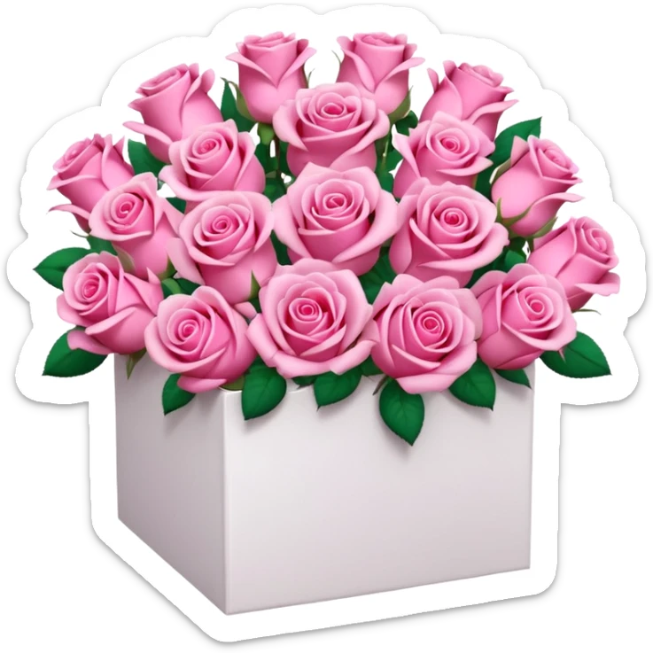bouquet of pink 30 roses in a white box，no leaves sticker