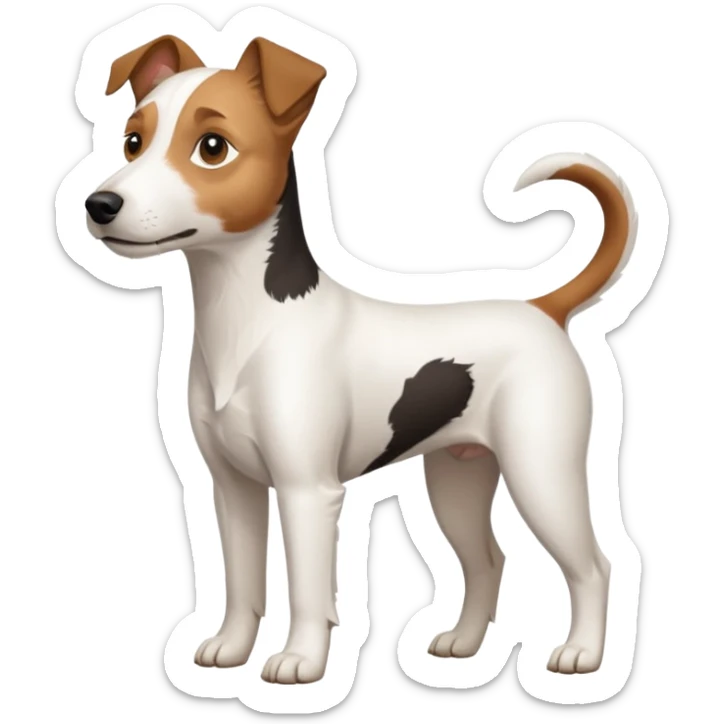 a full body white parson russell looking dog the size of a kelpie with light brown ears and a light brown patch on one eye and a large snout sticker