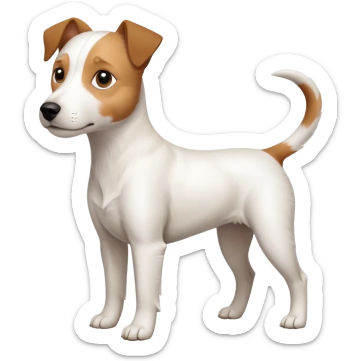 a full body slightly chubby white parson russell terrier looking dog the size of a kelpie with light brown long ears and a light brown patch on one eye and a large snout sticker