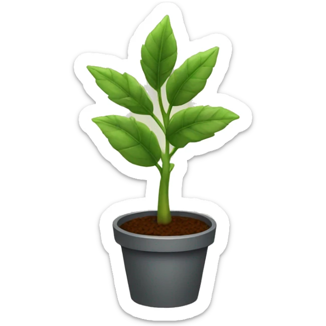 Plant  sticker
