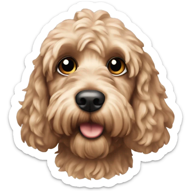 Cockapoo sticker