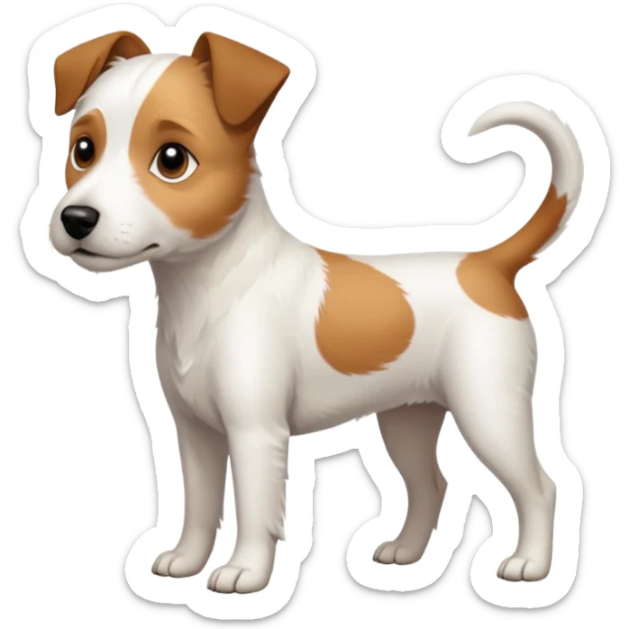 a full body slightly chubby white parson russell terrier looking dog the size of a kelpie with light brown long ears and a light brown patch on one eye and a large snout sticker