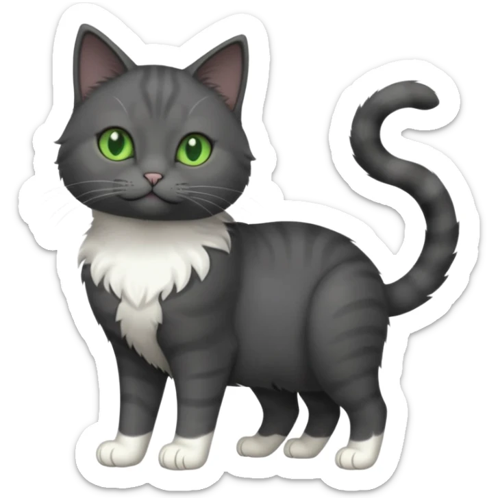 full body view of beautiful female solid dark grey cat with green eyes, white toes/paws and white patch on her chest sticker