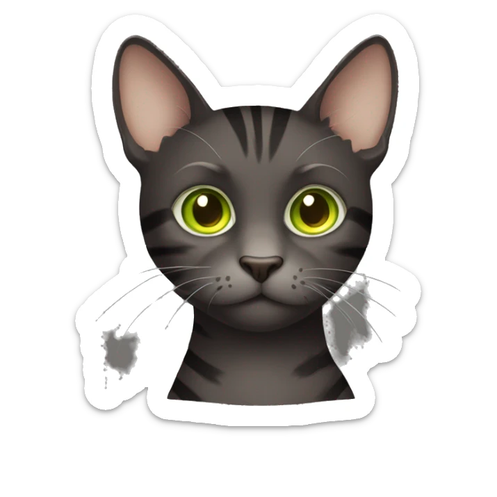 dark brown sitten cat with dark grey and light grey stripes with yellowish green eyes  sticker