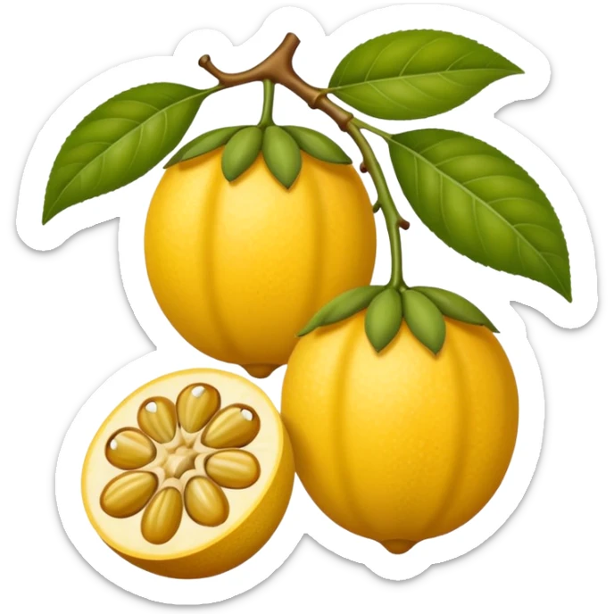 maracuja fruta sticker