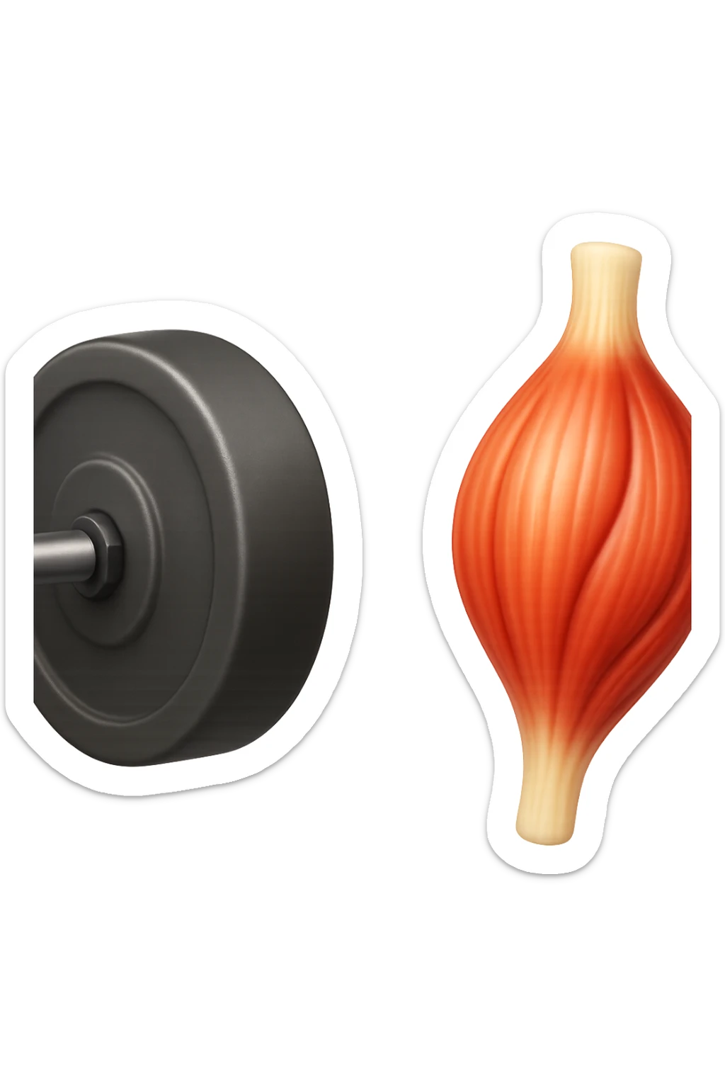 emoji stile iphone di un peso da palestra accanto ad emoji stile iphone di un muscolo umano anatomico, IPERREALISTICO 4K sticker