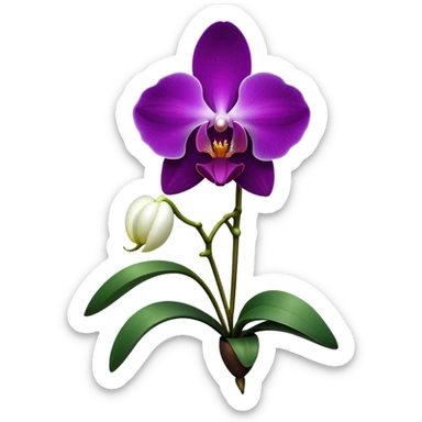 Cinematic Realistic Orchid Emoji, Exotic and elegant, with intricate, velvety petals in deep purple and white, forming a delicate and symmetrical blossom. The slender green stem holds the flower high, while surrounding leaves add lush contrast. Soft glowing outline, capturing the essence of rare beauty and sophistication in a captivating orchid. sticker