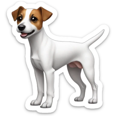 Jack Russell Terrier with a black spot on one side and a white one on the other side, one ear is standing, the other is lying sticker