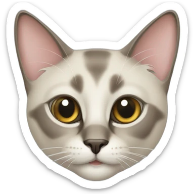 Siamois cat sticker