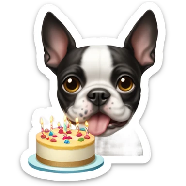 Bostonterrier dog and birthday cake sticker