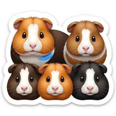 a group of 8 guinea pigs 2  big and creme colour 2 big and black 1 small black white and brown 1 small black and brown 1 small white and 1 small creme  sticker