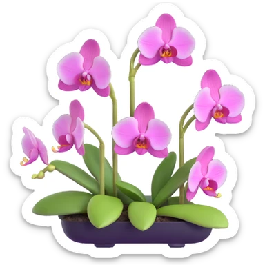 Elegant phalaenopsis moth orchid with detailed white and pink petals and green stem sticker