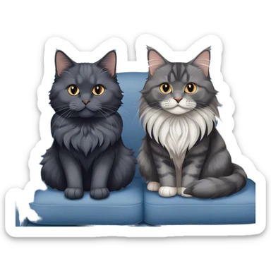 Portrait of a black smoke Maine Coon cat with long grey ear tufts, alongside a British Shorthair cat with a solid blue coat on sofa. Both cats with detailed fur textures and playful expressions. Soft, elegant background of room with flowers and natural tones. Transparent background. sticker