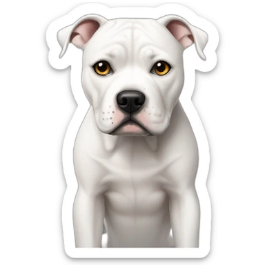 White Staffordshire Bull Terrier sad sticker