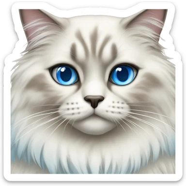 Siberian neva masquerade cat with blue eyes sticker