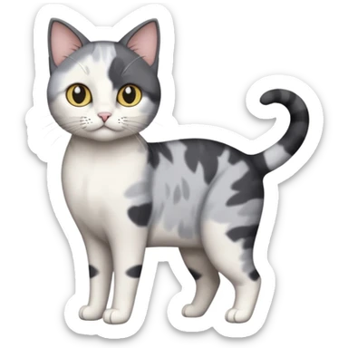 full body small short hair dark grey and white cat sticker