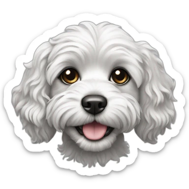 black and white Cavapoo dog sticker
