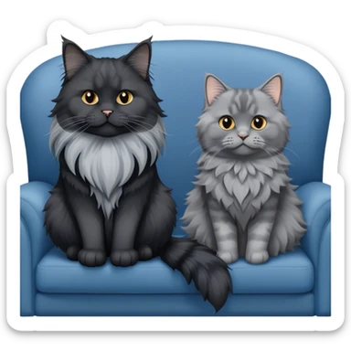 A large black smoke Maine Coon cat with long grey ear tufts and a fluffy grey ruff, sitting next to a chubby British Shorthair cat in blue color with plush fur, both sitting comfortably on a sofa. Beautiful room background with flowers and soft lighting. Transparent background. sticker
