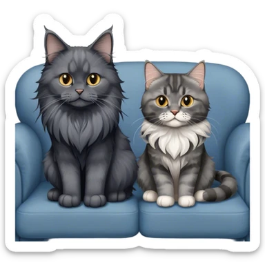 Portrait of a black smoke Maine Coon cat with long grey ear tufts, alongside a British Shorthair cat with a solid blue coat on sofa. Both cats with detailed fur textures and playful expressions. Soft, elegant background of room with warm, natural tones. Transparent background. sticker