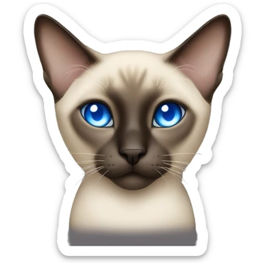 Siamese cat with bright blue crossed eyes sticker