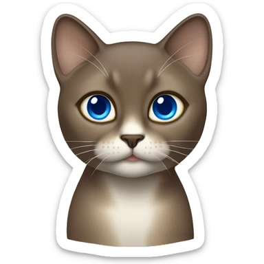 Dark Brown face - beige body female thai cat with blue eyes  sticker