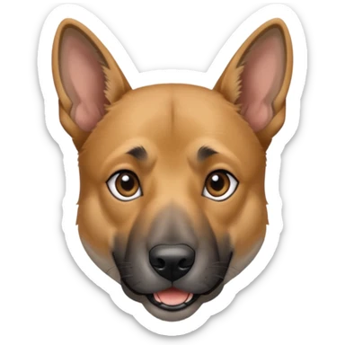 chien Malinois croisé, couleur poils grise, yeux gris et poils mi long sticker