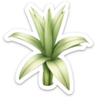 Yucca sticker