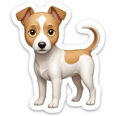 a full body slightly chubby white parson russell terrier looking dog the size of a kelpie with light brown long ears and a light brown patch on one eye and a large snout. the rest of the dog is completely whiteforward facing sticker