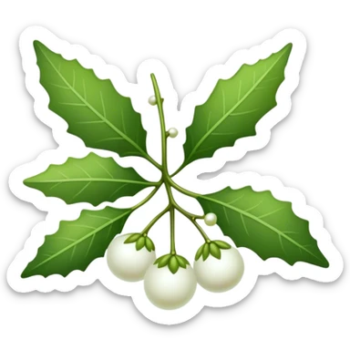 Mistletoe herb sticker