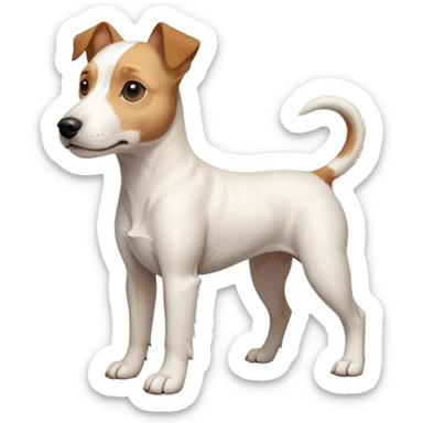 a full body facing front on of a buff white parson russell terrier looking dog the size of a kelpie with light brown long ears resting on its face and a light brown patch above one eye and a large snout. the rest of the dog is completely white.  sticker