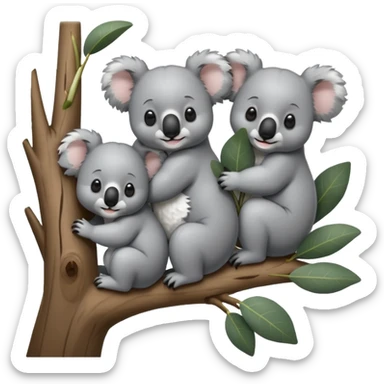 4 koalas sur un arbre sticker