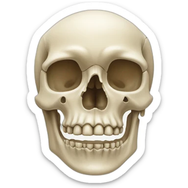 Femural bone sticker