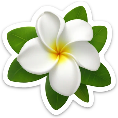 white plumeria with leaf sticker