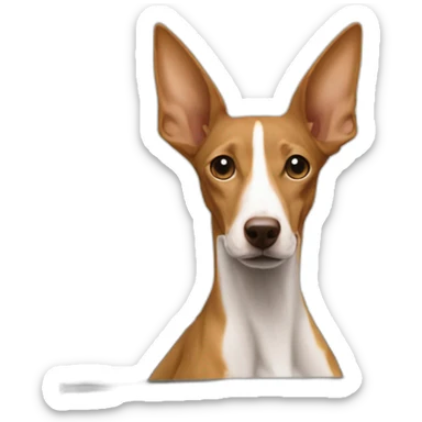 brown podenco in a white car sticker
