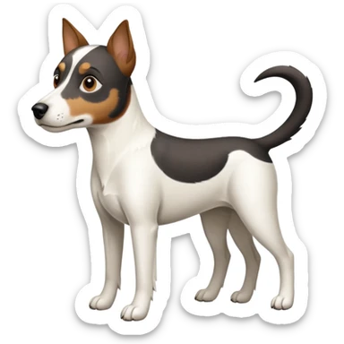 a full body large white parson russell looking dog the size of a kelpie with light brown ears and a light brown patch on one eye and a large snout sticker
