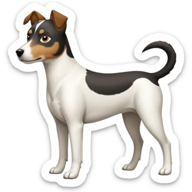 a full body large white parson russell looking dog the size of a kelpie with light brown ears and a light brown patch on one eye and a large snout sticker