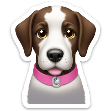 black and white dog with a pink collar and brown eyes  sticker
