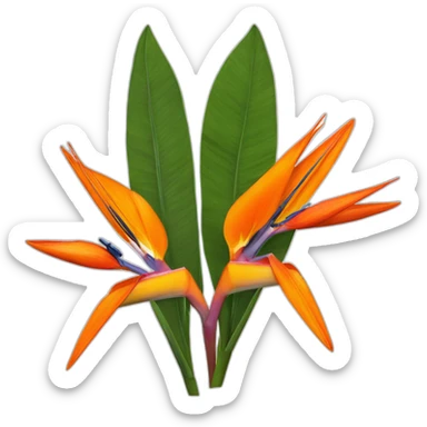 Strelitzia reginae sticker