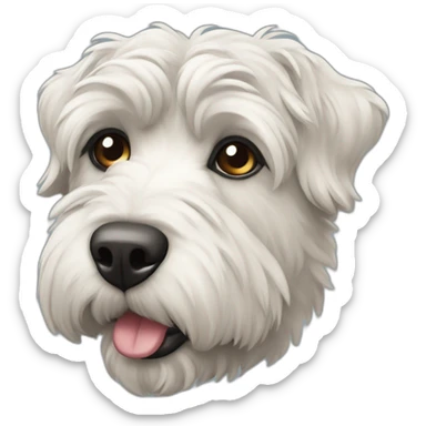 Bouvier Bernois sticker