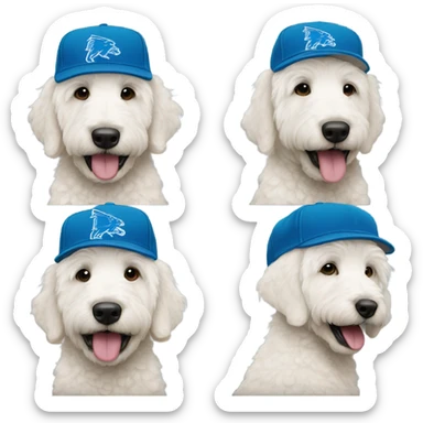 White golden doodle with a Detroit lions hat sticker